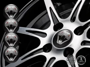 Epoxy-Dome Sticker Ausgabe Radiant Performance